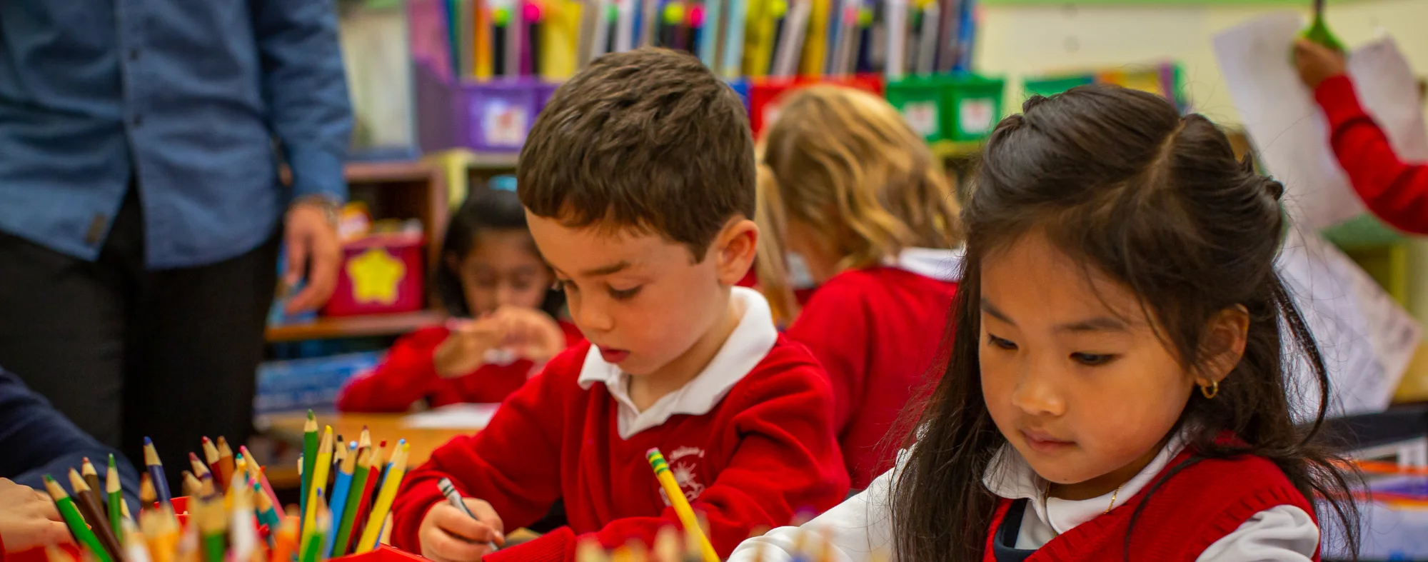 Primary Grades