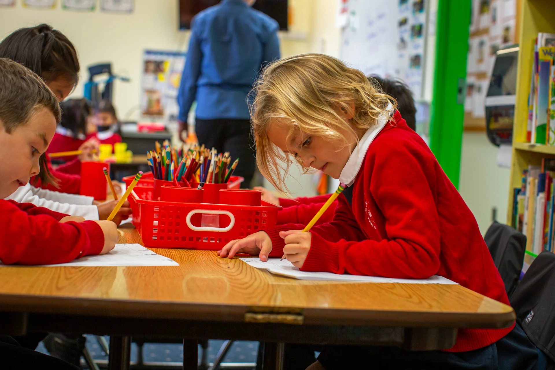 Primary Grades