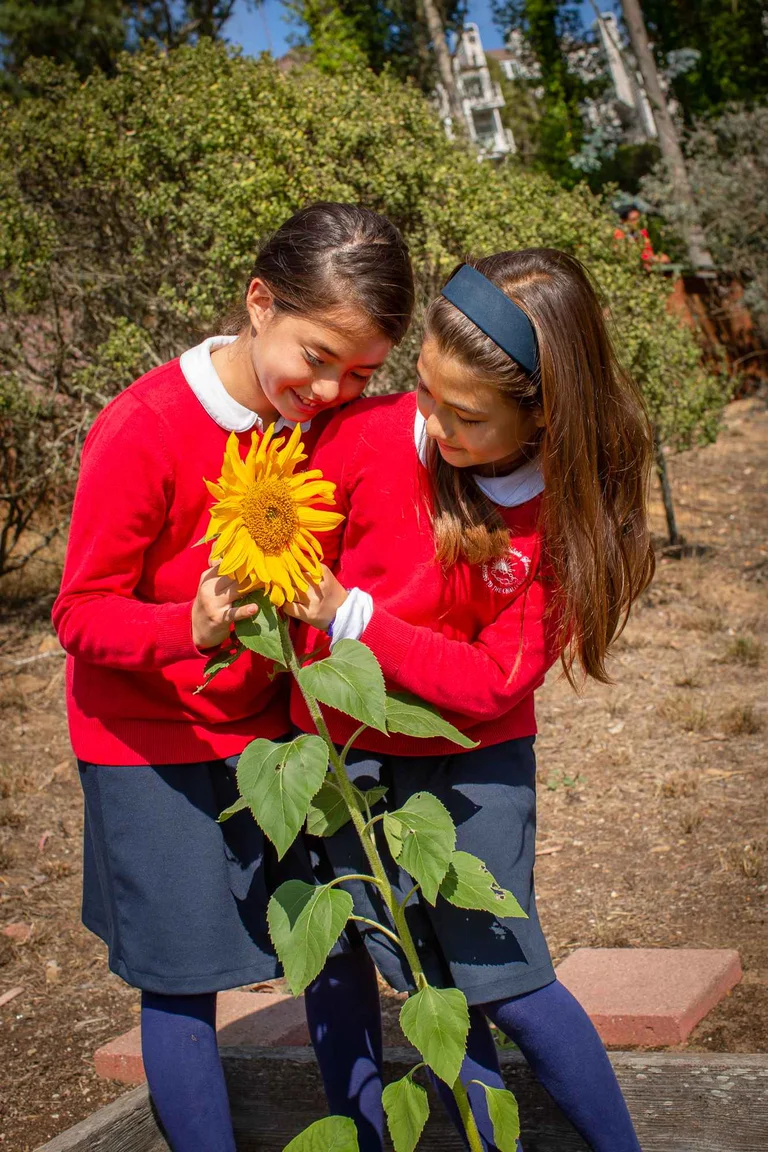Commitment to social-emotional growth