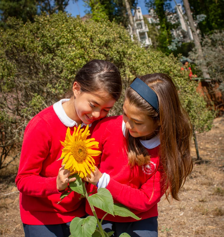 Commitment to social-emotional growth