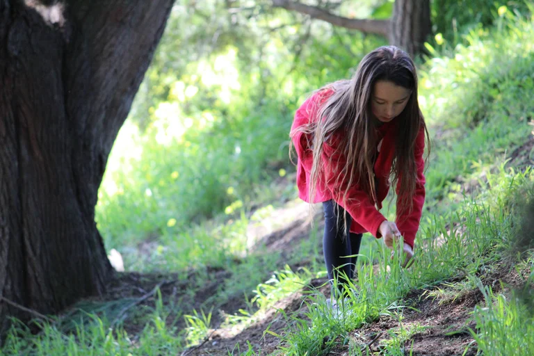 Gardening
